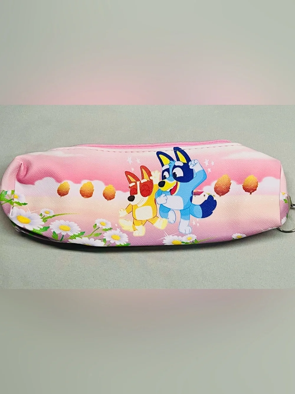 Bluey Case  6 Pack- Assorted Colors
